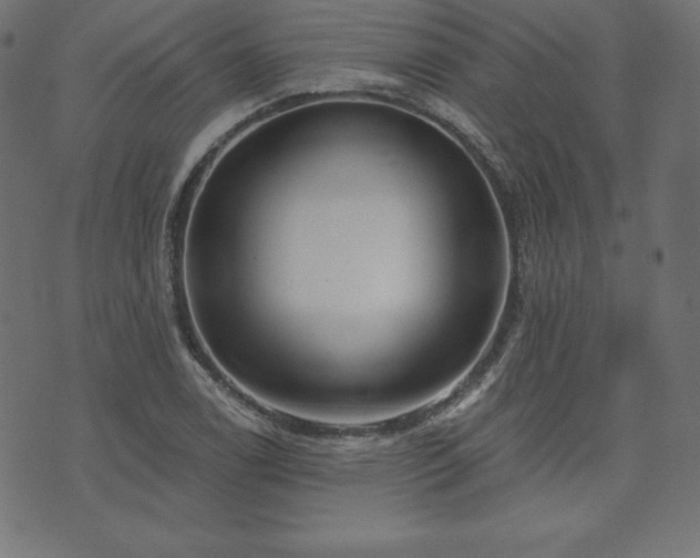 X0000073951122200608211133