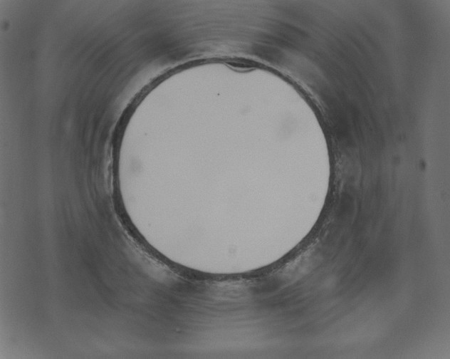 X0000073951126200608211133
