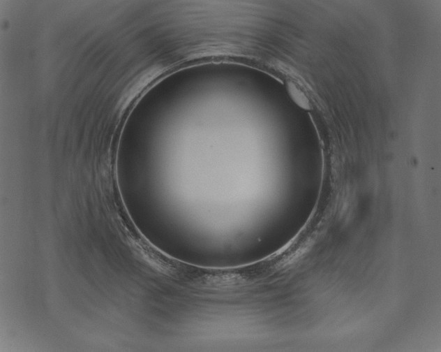 X0000073951129200608211133