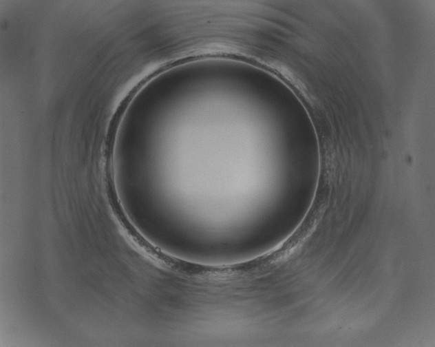 X0000073951134200608211133
