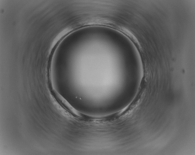 X0000073951138200608211133