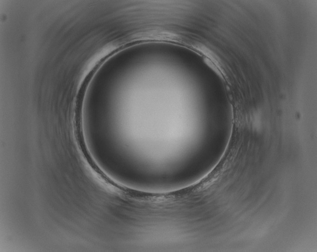 X0000073951139200608211133