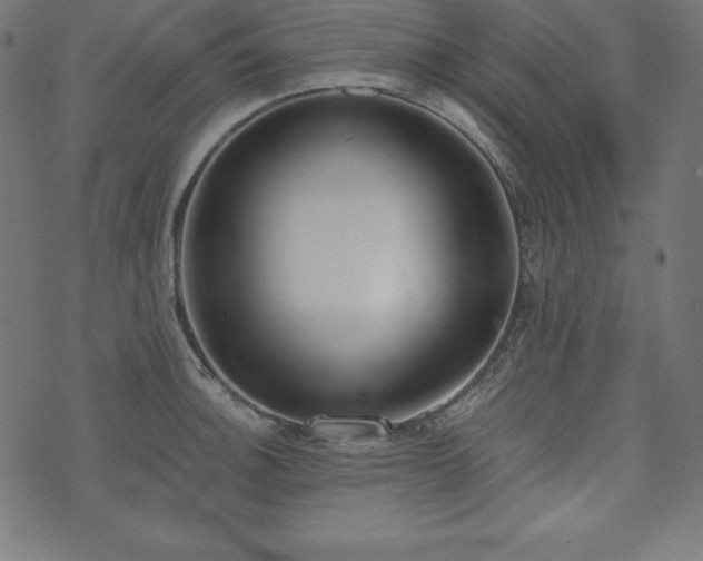 X0000073951140200608211133