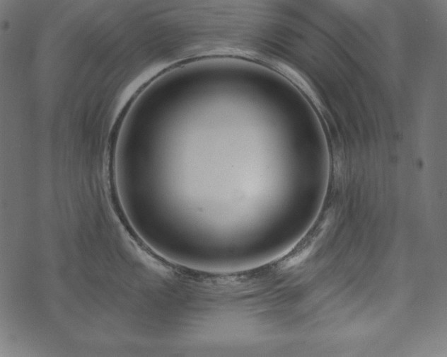 X0000073951149200608211133