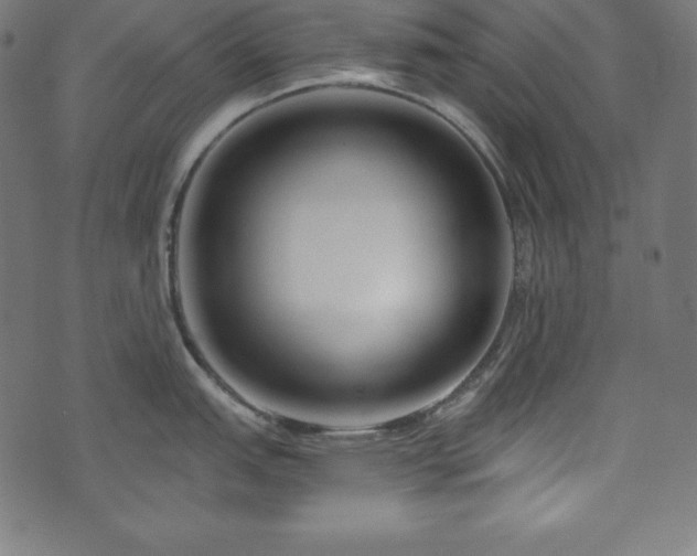 X0000073951151200608211133