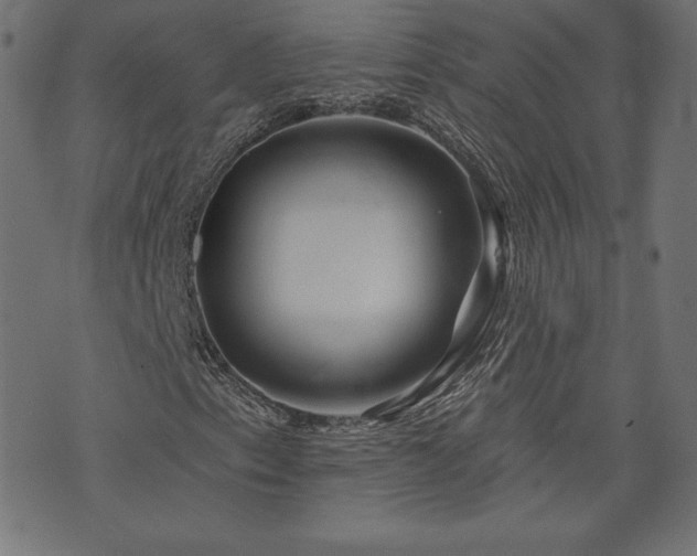 X0000073951153200608211133