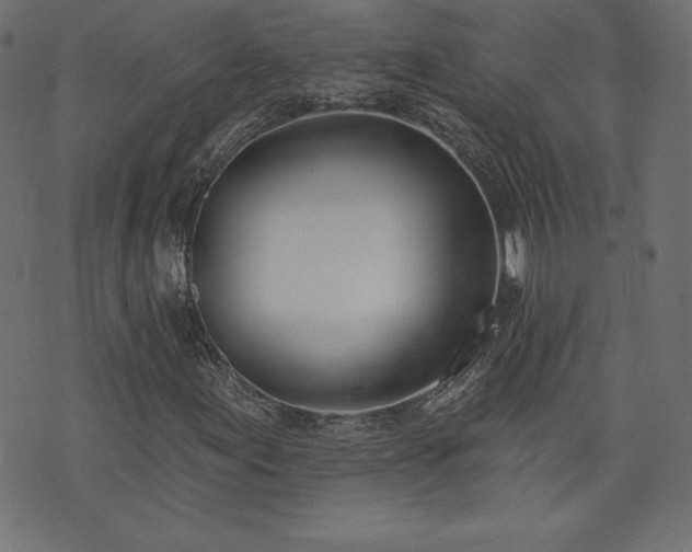 X0000073951155200608211133