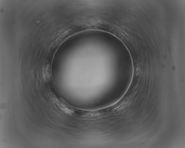 X0000073951156200608211133