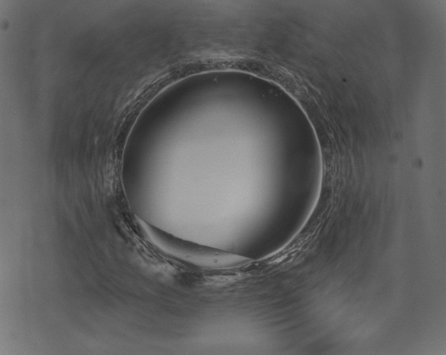 X0000073951157200608211133
