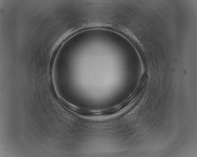 X0000073951173200608211132