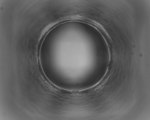 X0000073951176200608211132
