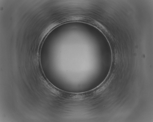 X0000073951178200608211132