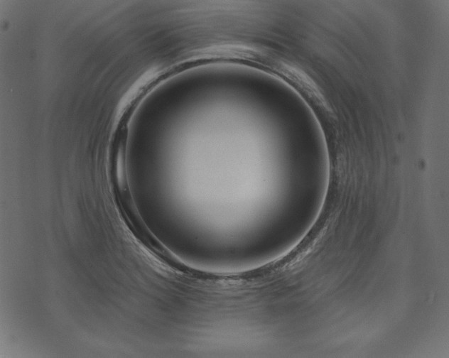 X0000073951180200608211132