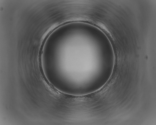 X0000073951181200608211132