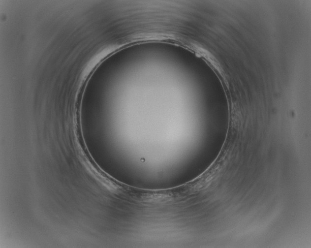 X0000073951187200608211132
