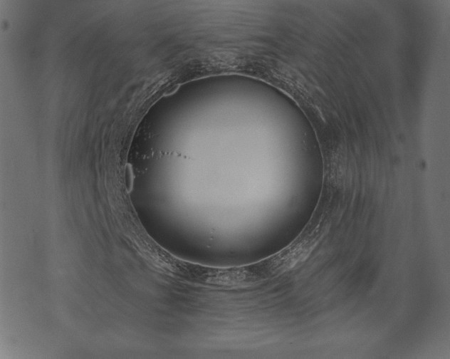 X0000073951201200608211131