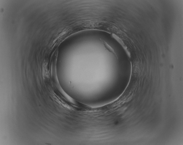 X0000073951202200608211131