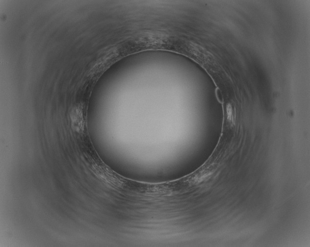 X0000073951203200608211131