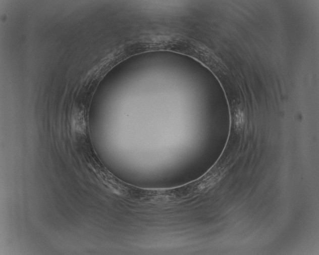 X0000073951204200608211131