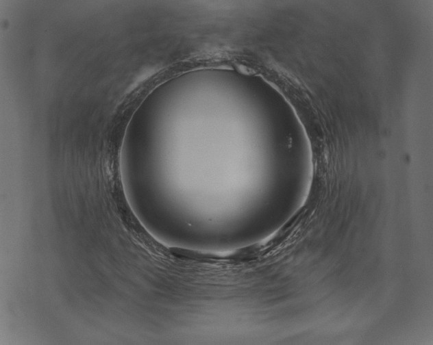 X0000073951206200608211131