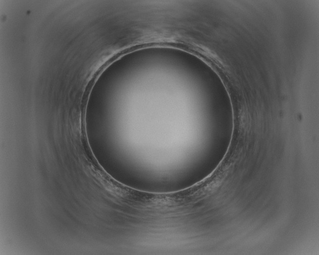 X0000073951220200608211131