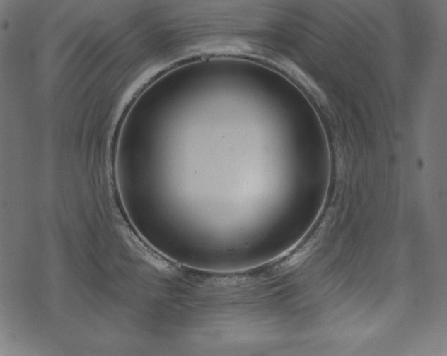 X0000073951240200608211132