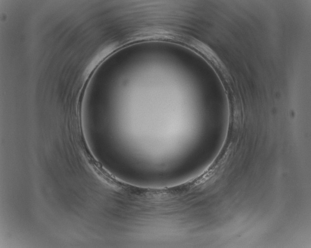 X0000073951242200608211132