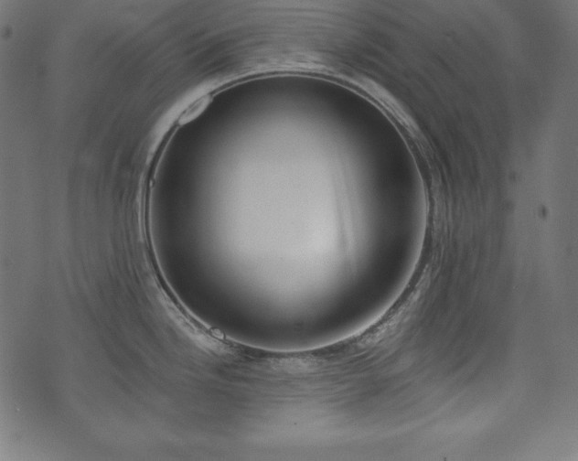 X0000073951246200608211132