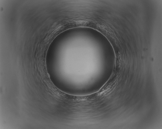 X0000073951249200608211131