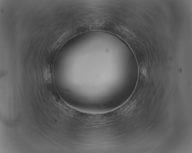 X0000073951252200608211131