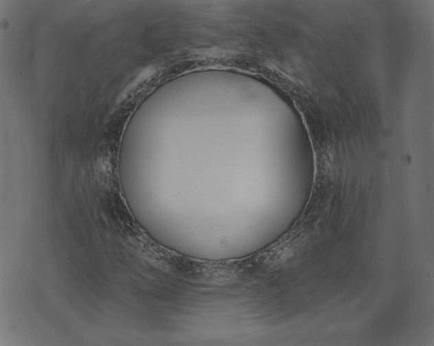 X0000073951254200608211131
