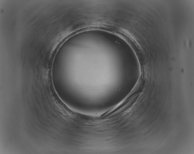 X0000073951260200608211131