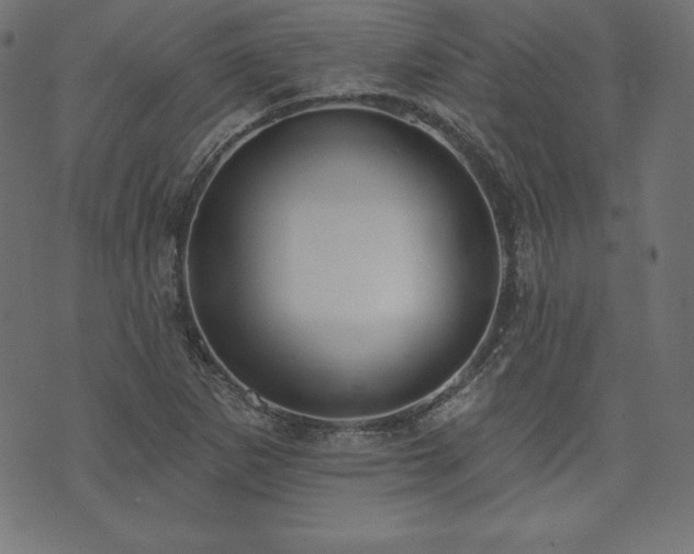 X0000073951265200608211131