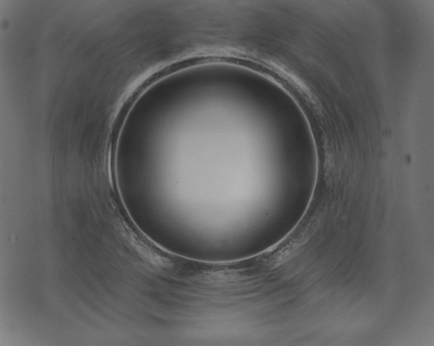 X0000073951272200608211131