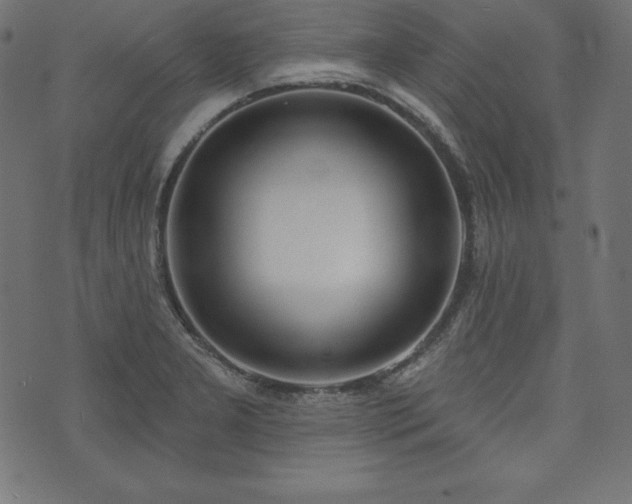 X0000073951277200608211131