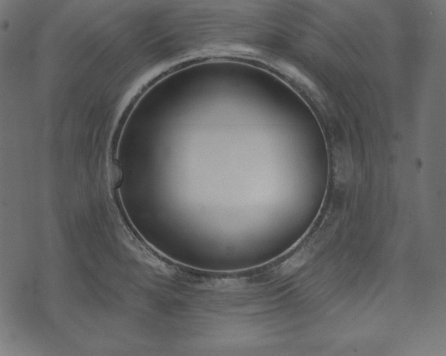 X0000073951280200608211131