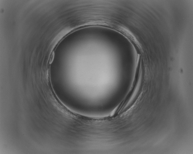 X0000073951284200608211131