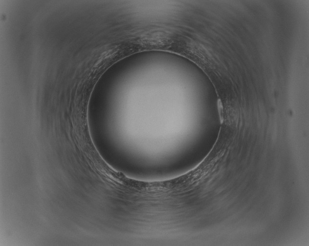 X0000073951297200608211130