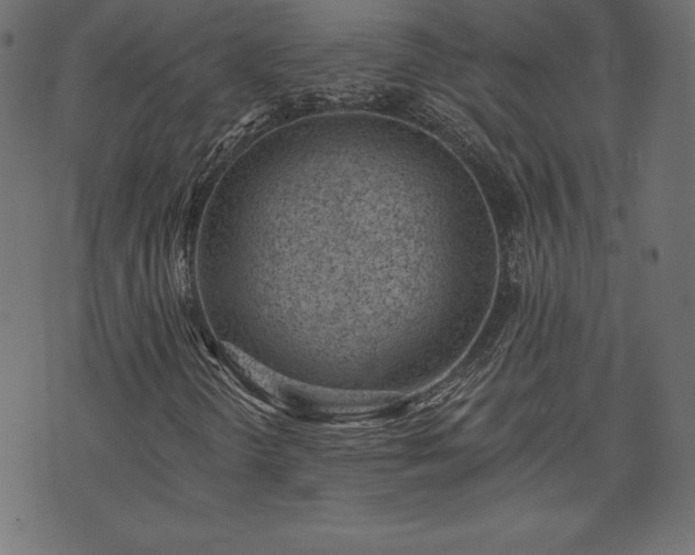 X0000073951298200608211130