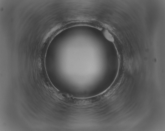 X0000073951307200608211130