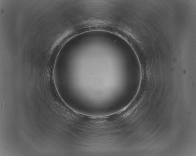 X0000073951309200608211130
