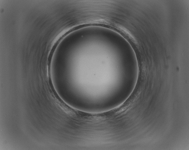 X0000073951324200608211130