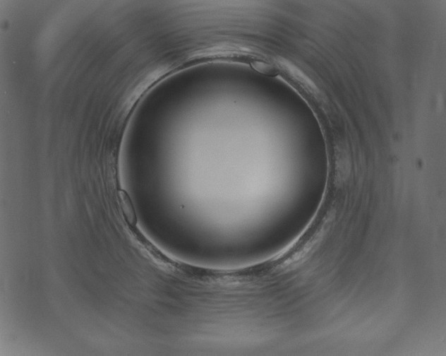 X0000073951329200608211130