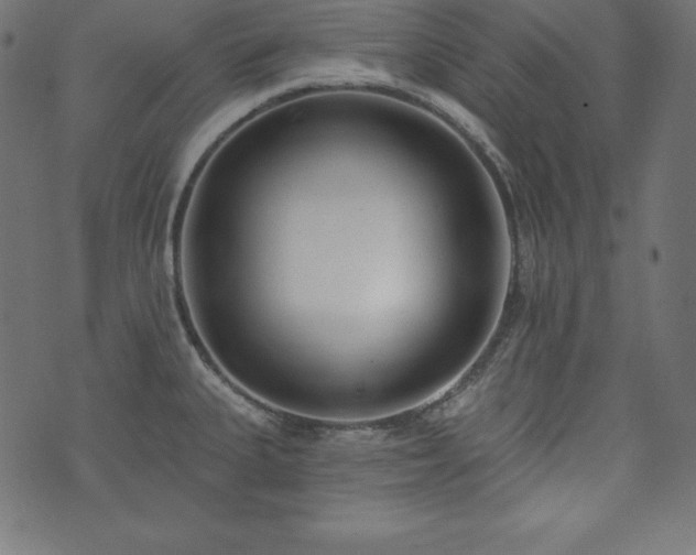 X0000073951335200608211130
