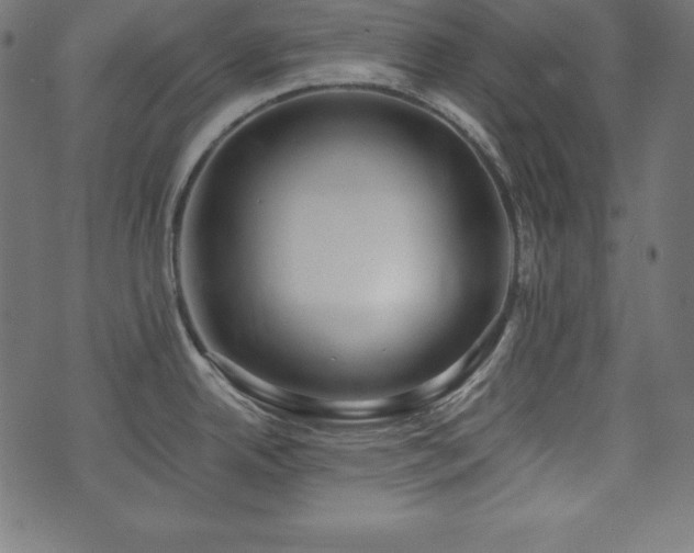 X0000073951342200608211130