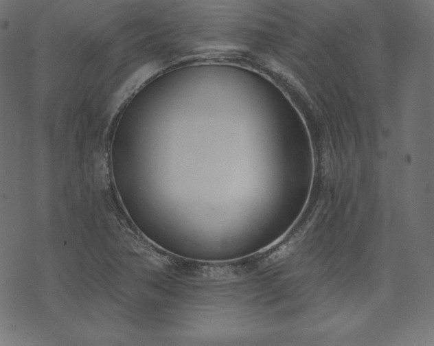 X0000073951362200608211129