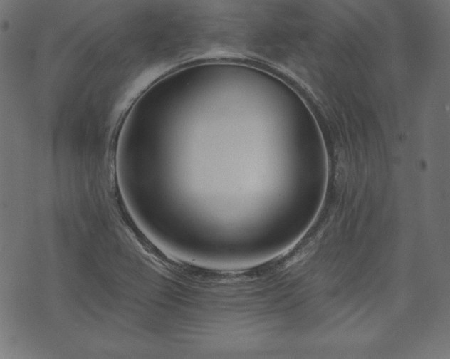 X0000073951367200608211129