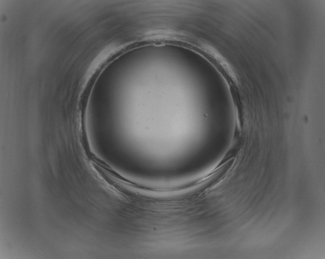 X0000073951376200608211129
