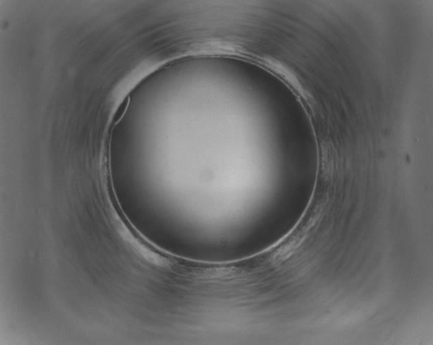 X0000073951387200608211129