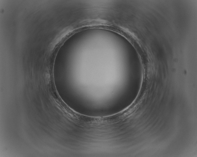 X0000073951407200608211128